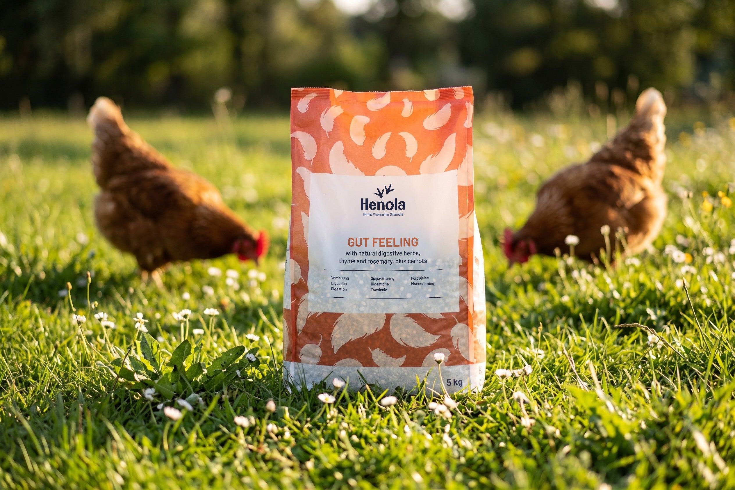 Henola Granola Gut Feeling 5 kg